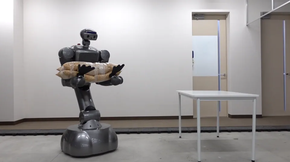 Tokyo Robotics Torobo